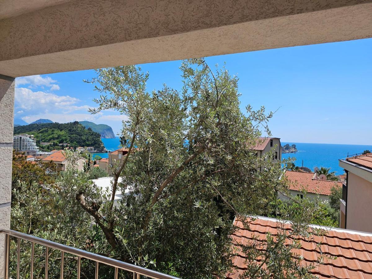 Medin Apartments Bluvista Petrovac Εξωτερικό φωτογραφία