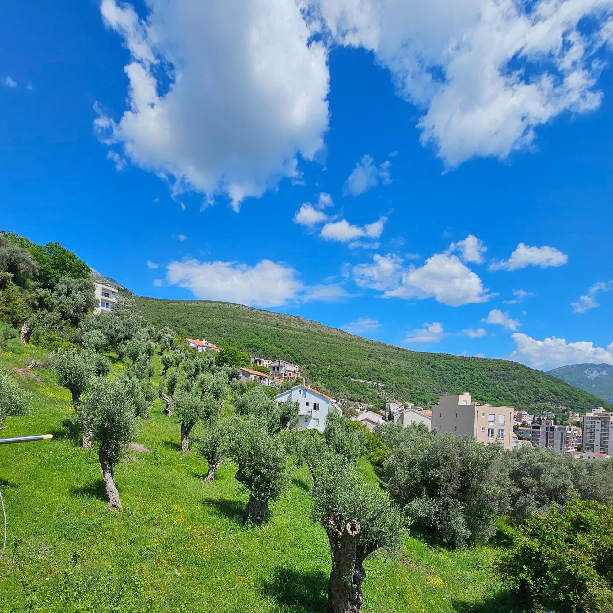 Medin Apartments Bluvista Petrovac Εξωτερικό φωτογραφία