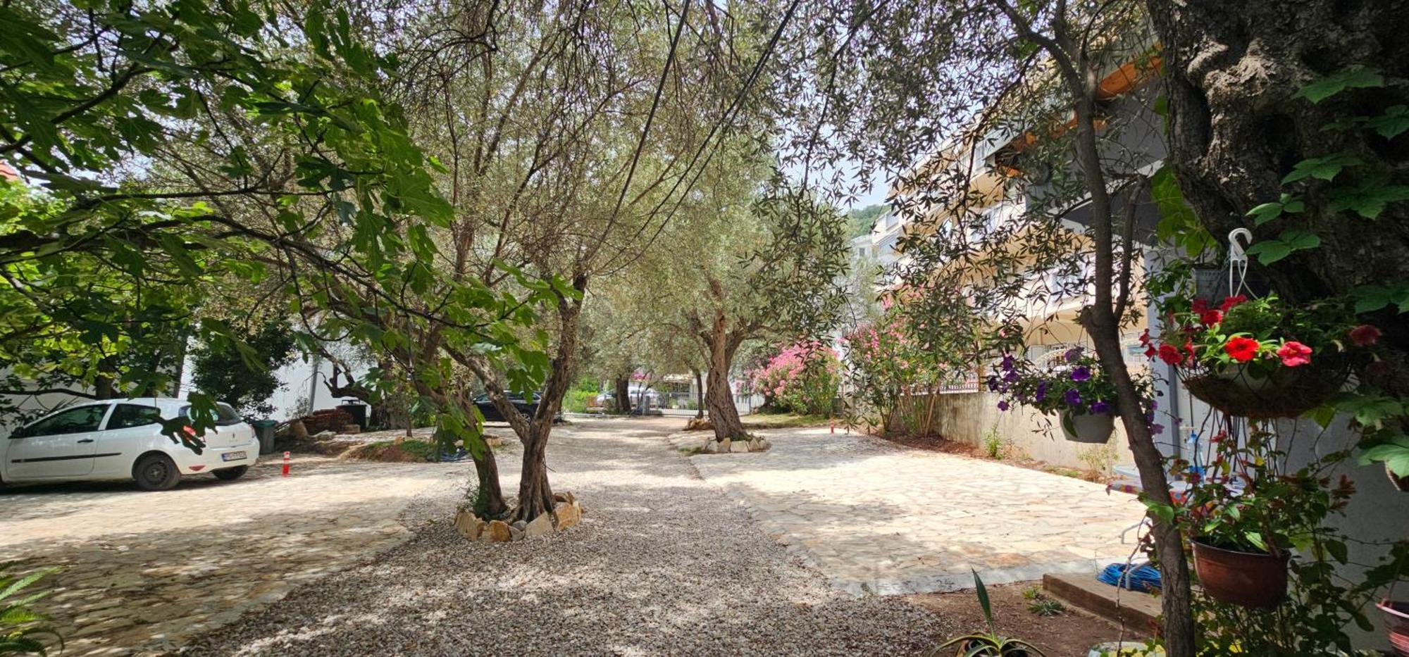 Medin Apartments Bluvista Petrovac Εξωτερικό φωτογραφία