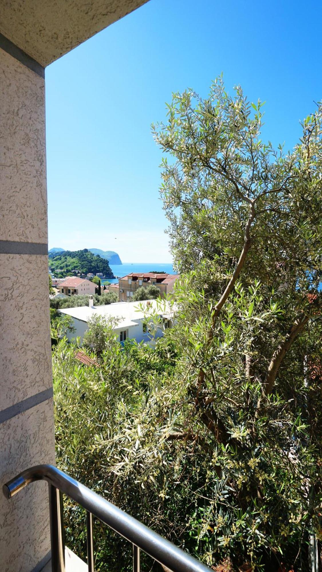 Medin Apartments Bluvista Petrovac Εξωτερικό φωτογραφία